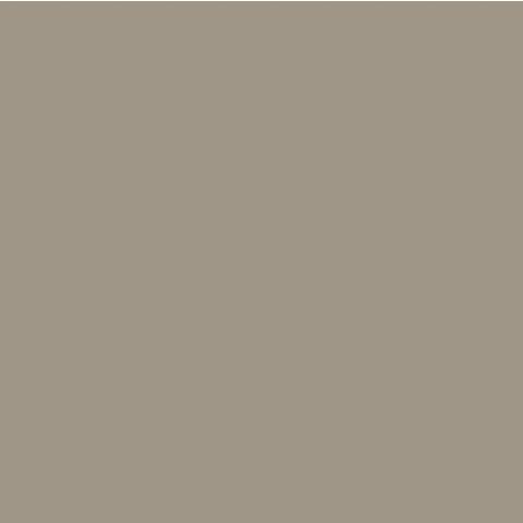 DupliColor Perfect Match Spray Paint General Motors Gold