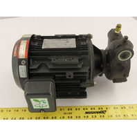 NIKUNI 25FHD6-15ZU1 Regenerative Turbine Pump 1.5KW