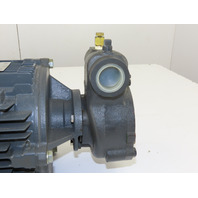 NIKUNI 25FHD6-15ZU1 Regenerative Turbine Pump 1.5KW
