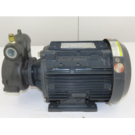 NIKUNI 25FHD6-15ZU1 Regenerative Turbine Pump 1.5KW