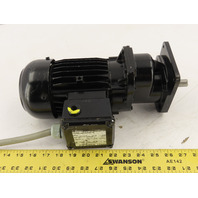BAUER BG06-31/E06LA4-TF/AMUL-TM .18KW 18.98:1 Ratio 120/240V 1PH Gear Motor
