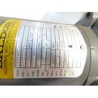 Hoppmann SS Stainless Surge Hopper Conveyor Wide Belt Elevating Prefeeder