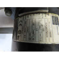 Hoppmann SS Stainless Surge Hopper Conveyor Wide Belt Elevating Prefeeder