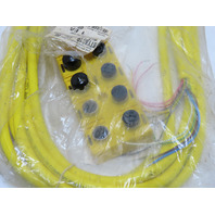 Brad BTY801P-FBE-05 Interconnect Micro-Change (M12) 8-port molded junction box