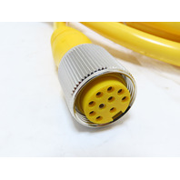 TURCK RSM RKM 106-4M/S3059 U-35655 Cord Assembly 10 Pin Double End