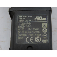 OMRON STI D4SL-N2RFA-DN Guard Lock Safety Door Switch D4SL-N2RFA-DN
