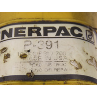 Dresser Rand 000-028-952 Enerpac P391 P2282 Dual Hydraulic Hand Pump 40000Psi